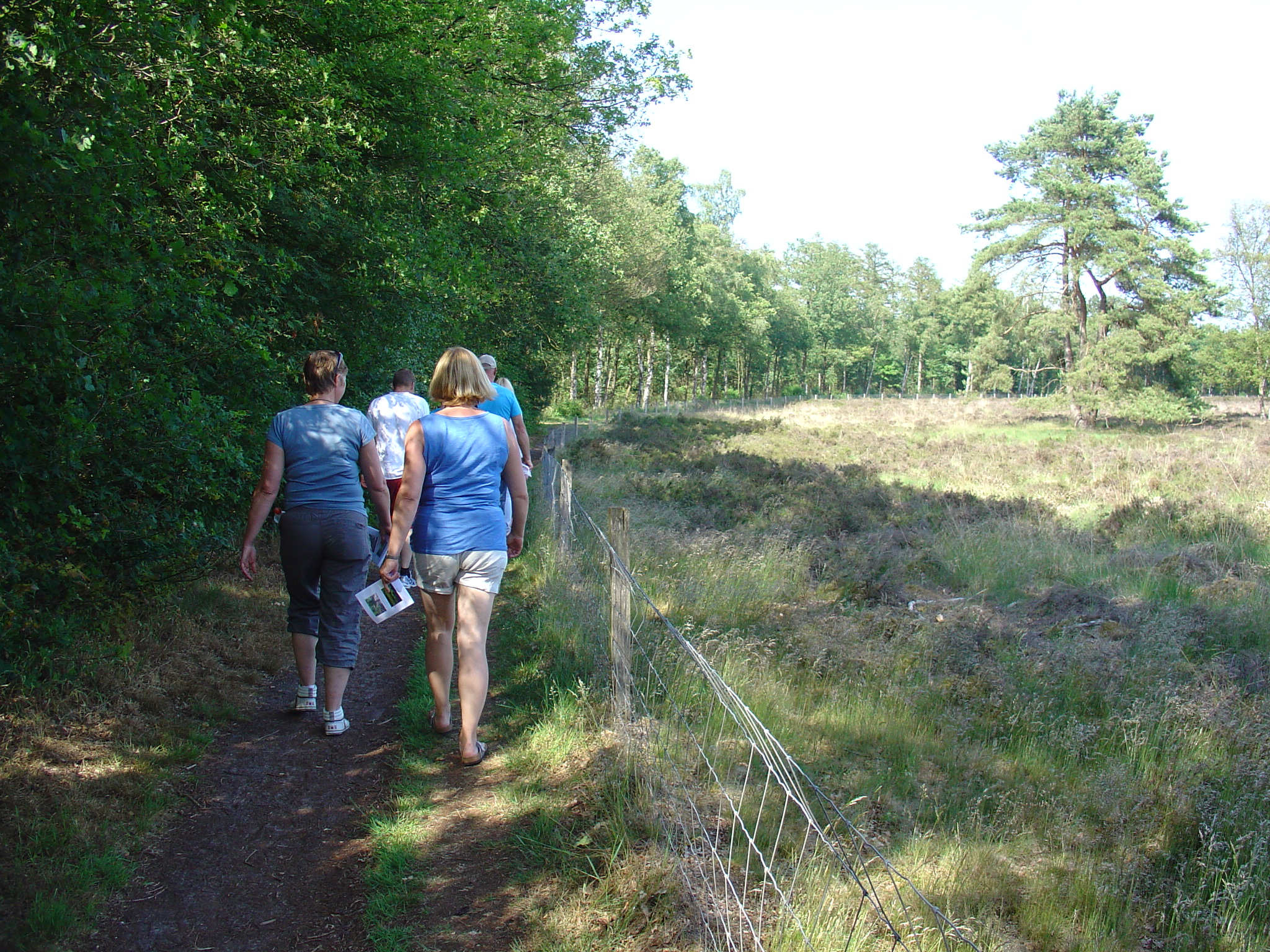 TerApel 017.jpg